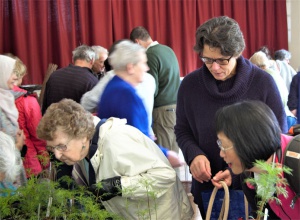 Plant Sale